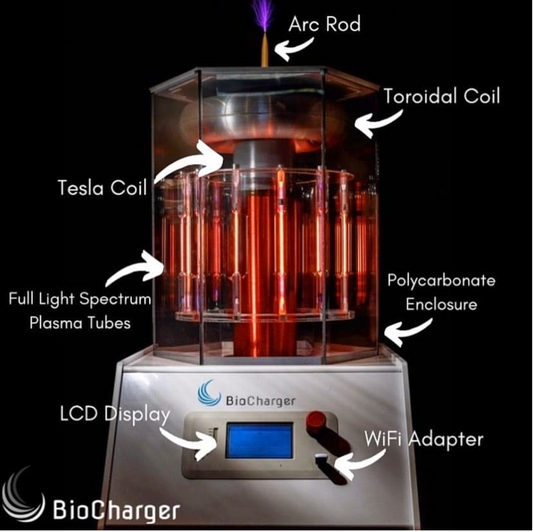 DEALS THAT SLEIGH - BioCharger Custom Package (5 treatments) $150 (reg. $250)